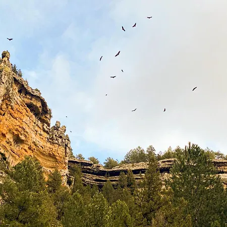 Real De Carreteros Gæstehus 4*