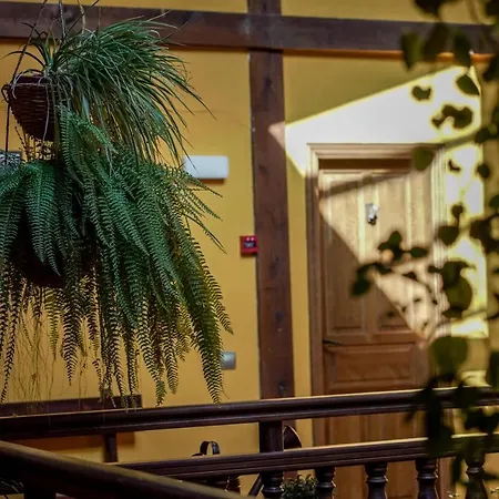 Guest house Real De Carreteros