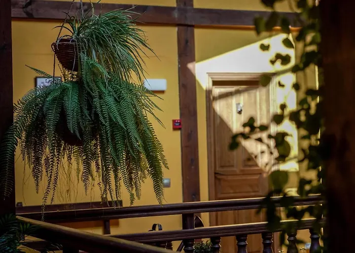 게스트하우스 Real De Carreteros